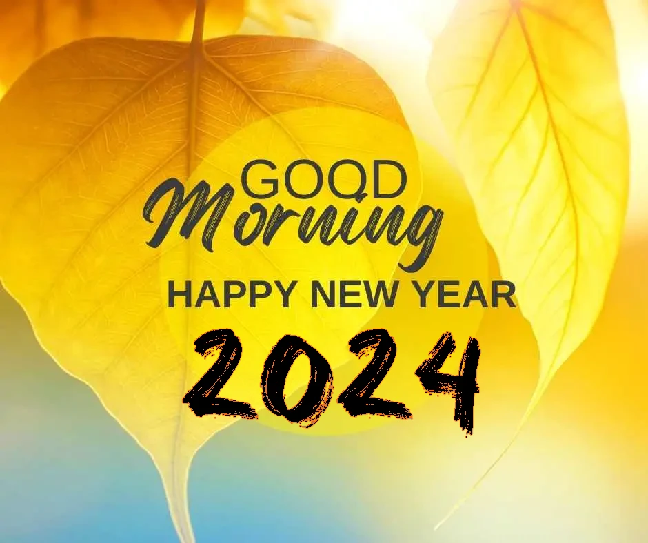 Good Morning Happy New Year 2024 with leaf background Images
