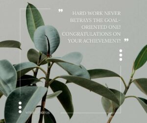 hard work never betrays the goal oriented one! congratulations on your achievement!