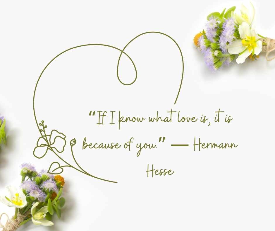 “if i know what love is, it is because of you ”  — hermann hesse