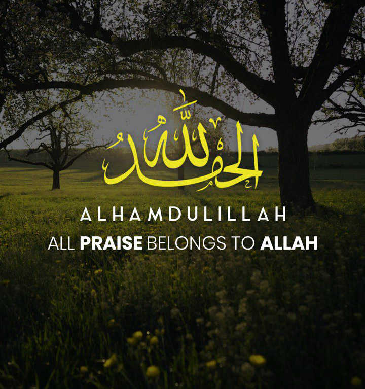 Islamic WhatsApp DP – Alhamdulillah in Golden Arabic Calligraphy with morning nature view