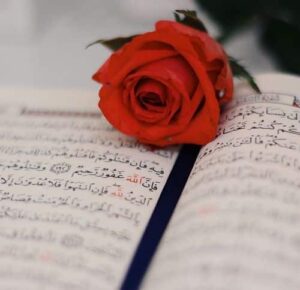 islamic whatsapp dp islamic images for whatsapp dp (1)