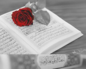 Islamic Whatsapp DP Islamic Images for Whatsapp Dp 20 islamic whatsapp dp islamic images for whatsapp dp (20)