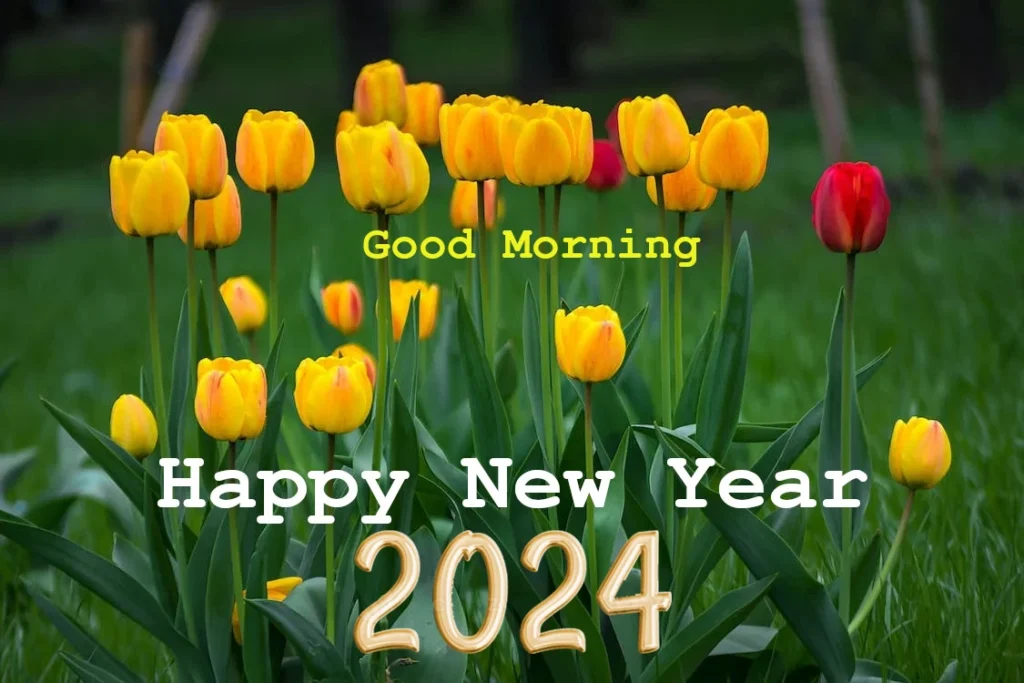 Natural green Good Morning Happy New Year 2024 image