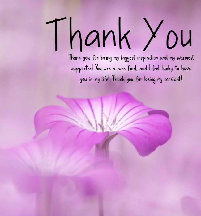 thank you for coming into my life messages & quotes (3)