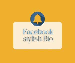 Facebook Vip Work Stylish Bangla Facelebook stylish Bio