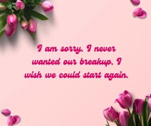 I am sorry. I never wanted our breakup. I wish we could start again. i am sorry i never wanted our breakup i wish we could start again