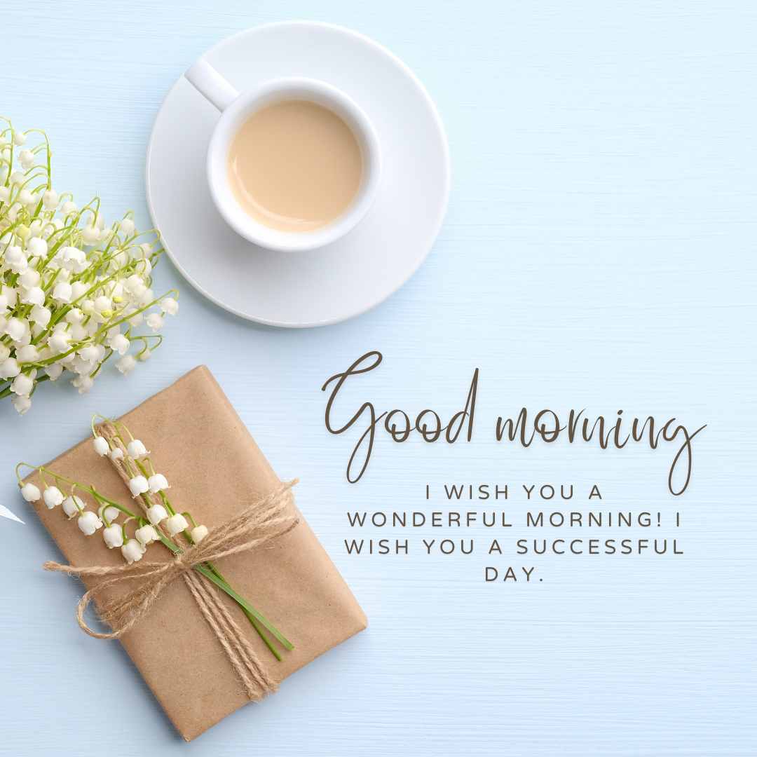 i wish you a wonderful morning! i wish you a successful day