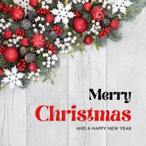 Merry Christmas Wishes Messages and Greetings 12 merry christmas wishes, messages and greetings (12)