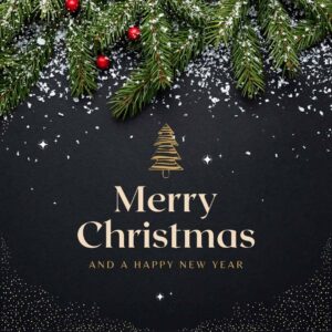 merry christmas wishes, messages and greetings (13)