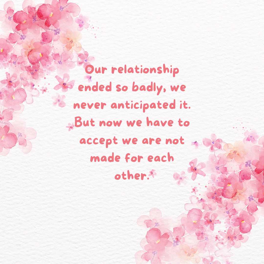 our relationship ended so badly, we never anticipated it but now we have to accept we are not made for each other