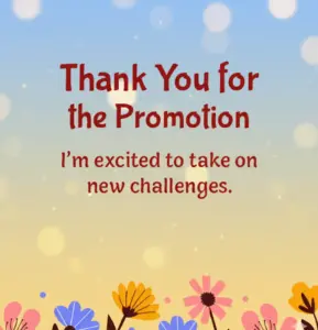 Thank you for the promotion... i am excited to take on new challenges