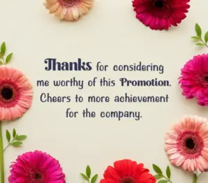 Thanks for considering me worthy of this Promotion. Cheers to more achievement for the company