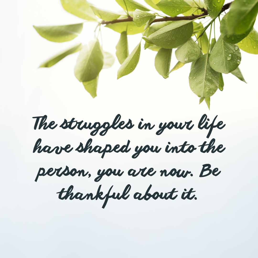 the struggles in your life have shaped you into the person, you are now be thankful about it