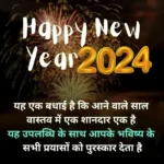 Happy New Year 2024 Wishes In Hindi images 5