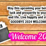 New Year 2025 Bye bye 2024