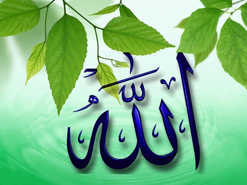 Allah The Name Of Allah