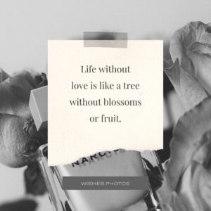 Best Fake Love Quotes And Messages (1)