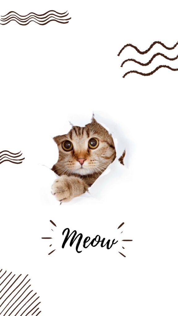 Cute Cat Wallpaper For Mobile Phone (13)