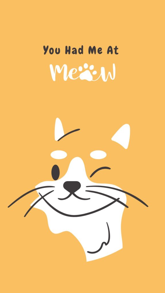 Cute Cat Wallpaper For Mobile Phone (17)