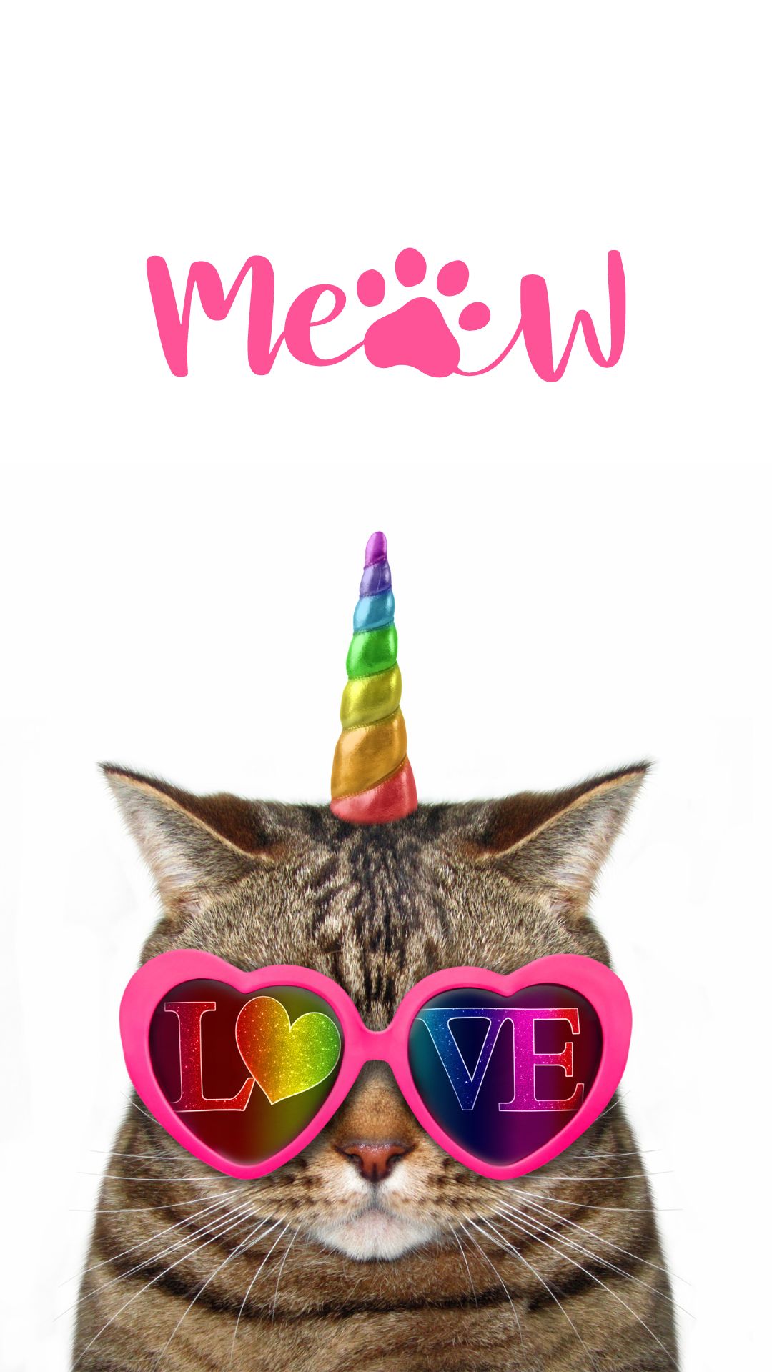 Cute Cat Wallpaper For Mobile Phone (6)