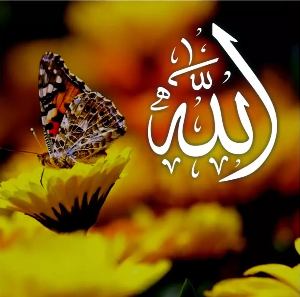 Allah Name Images 13