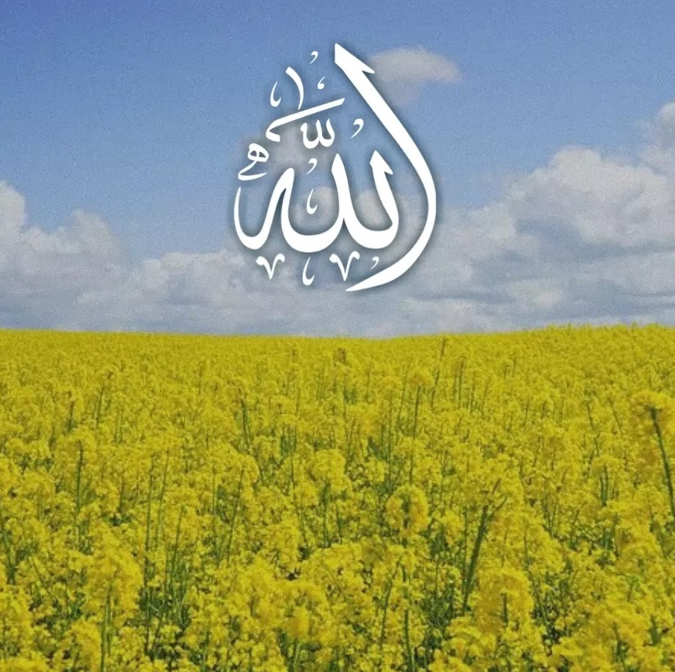 Allah Name Images 20