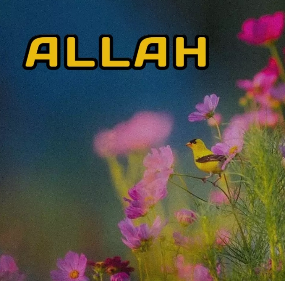 Allah Name Images 25