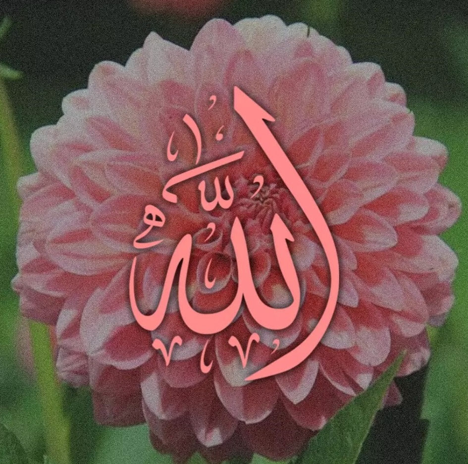 Allah Name Images 4