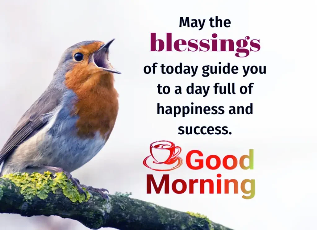 May the blessings of today guide you to a day full of happiness and success, Good Morning