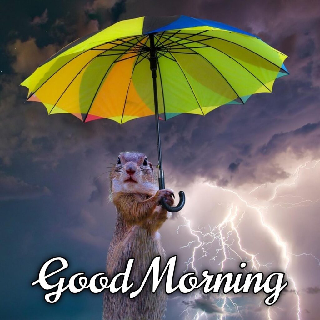 Goodmorning Image Rain