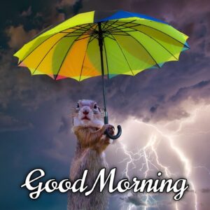 35 Perfect Good Morning Wishes For A Rainy Day - 2026