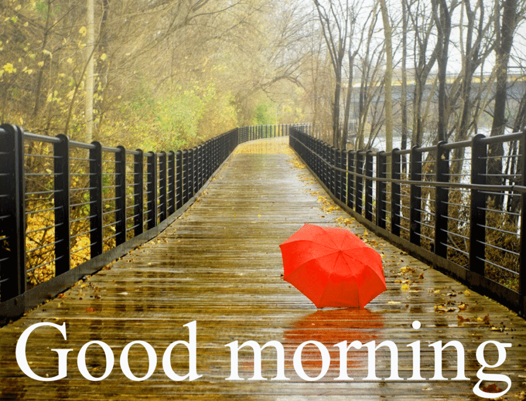 Perfect Good Morning Wishes For A Rainy Day