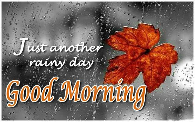 Perfect Good Morning Wishes For A Rainy Day 14