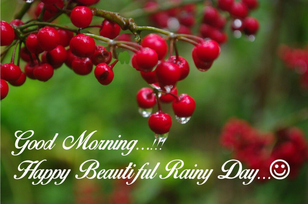 Perfect Good Morning Wishes For A Rainy Day 16