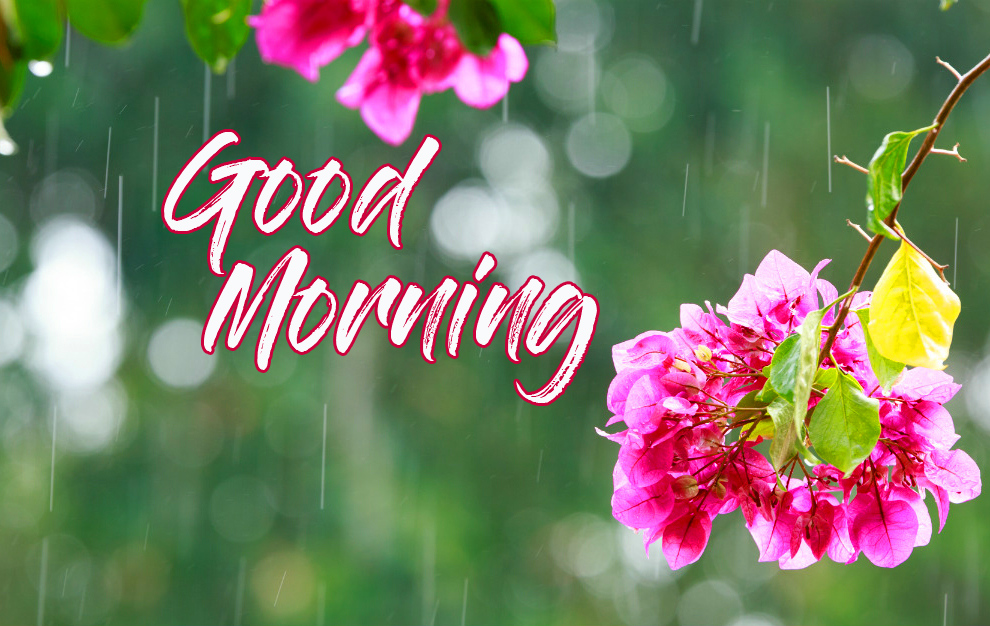 Perfect Good Morning Wishes For A Rainy Day 21