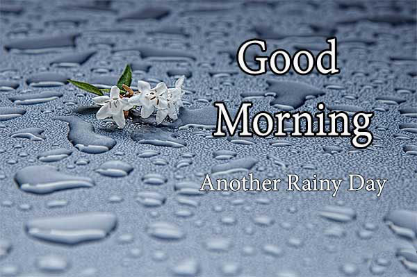 Perfect Good Morning Wishes For A Rainy Day 27
