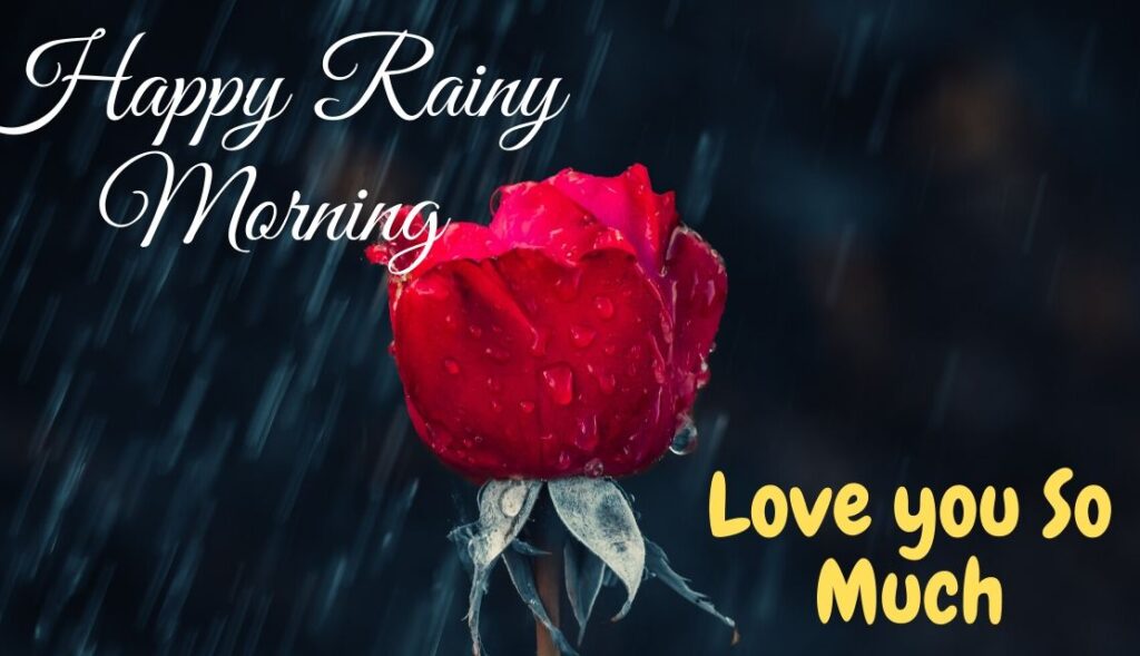 Perfect Good Morning Wishes For A Rainy Day 28