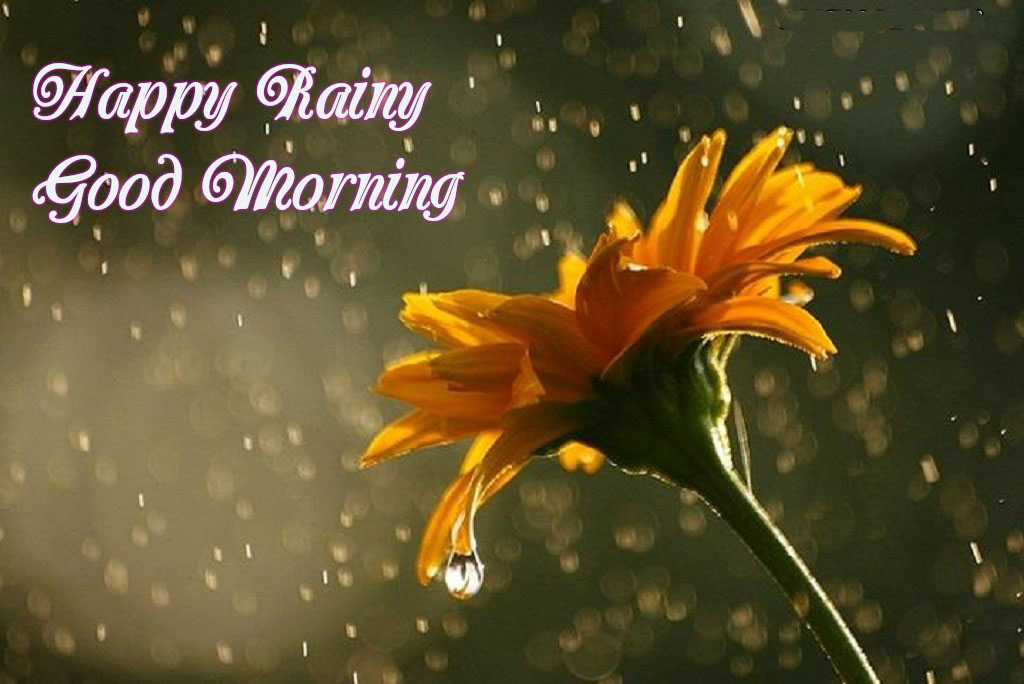 Perfect Good Morning Wishes For A Rainy Day 32