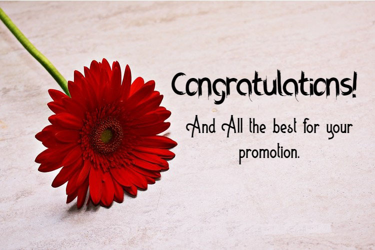 Promotion Wishes To Colleague
