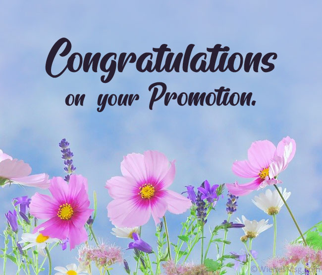 Congratulations On Your Promotion 2