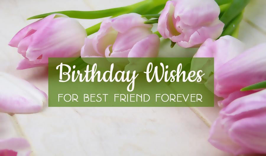 Birthday Wishes For Best Friend Male And Female