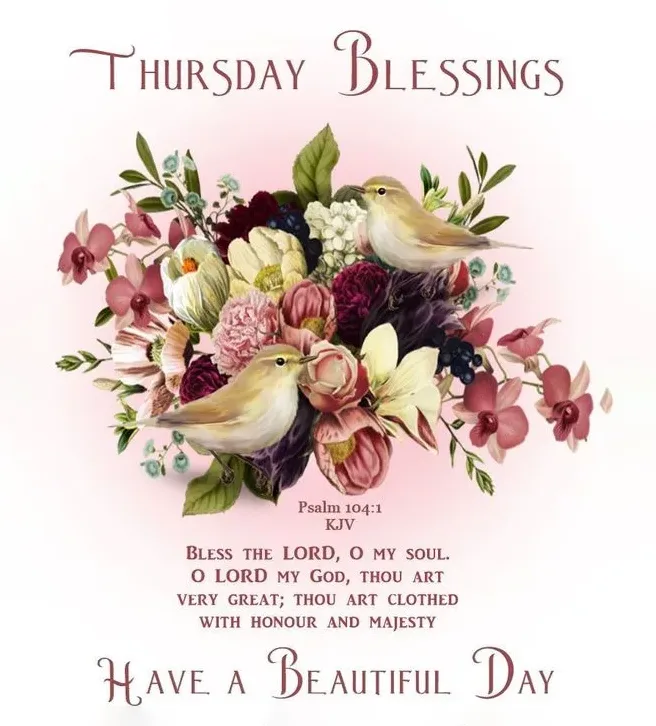Bless The Lord O My Soul O Lord My God Thou Art Very Great Thou Art Clothed With Honour And Majesty Have A Beautiful Day