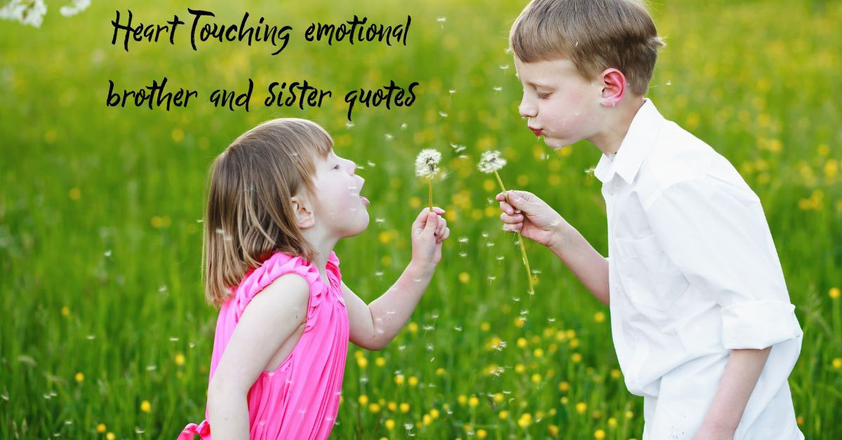 Heart Touching Emotional Brother And Sister Quotes 1