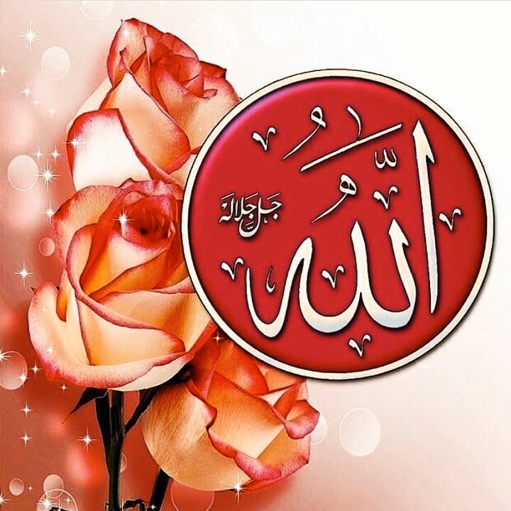 Islamic DP (Beautiful flowerand Allah name)