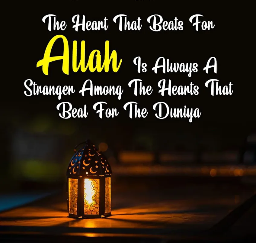Islamic Quotes_ The heart that beats for Allah is always a stronger among the hearts that beat for the Duniya