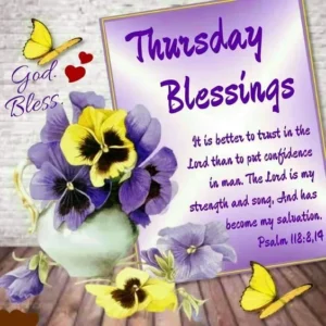 Thursday Blessings It Is Better To Trust In The Lord Than To Put Confidence In Man The Lord Is My Strength And Song And Has Become My Salvation Psalm 118 814