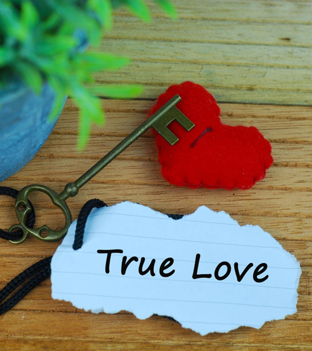 True Love Never Ends Quotes Poem