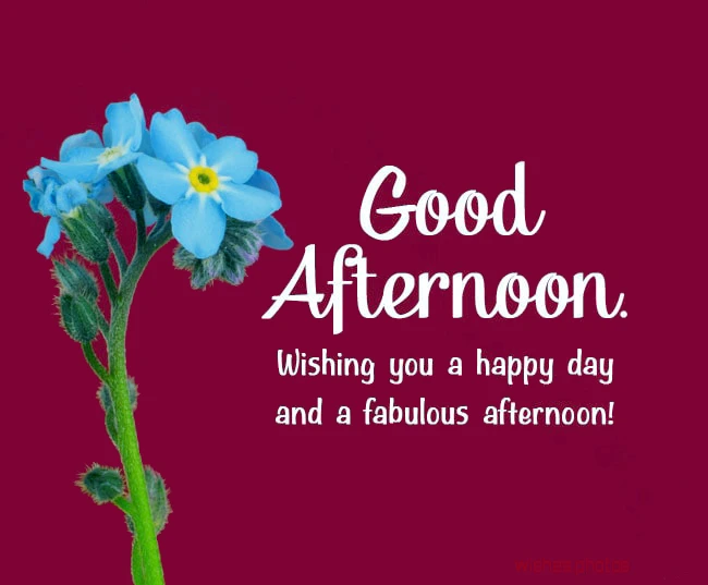 good afternoon message Wishing you a happy day and a fabulous afternoon