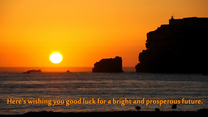 Here Wishing You Good Luck For A Bright And Prosperous Future Wish Image