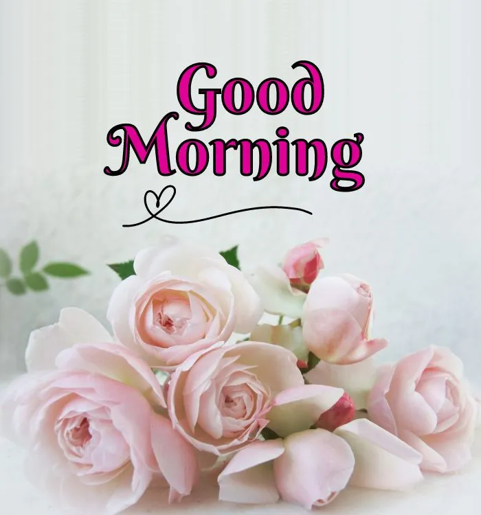 high quality good morning images new style